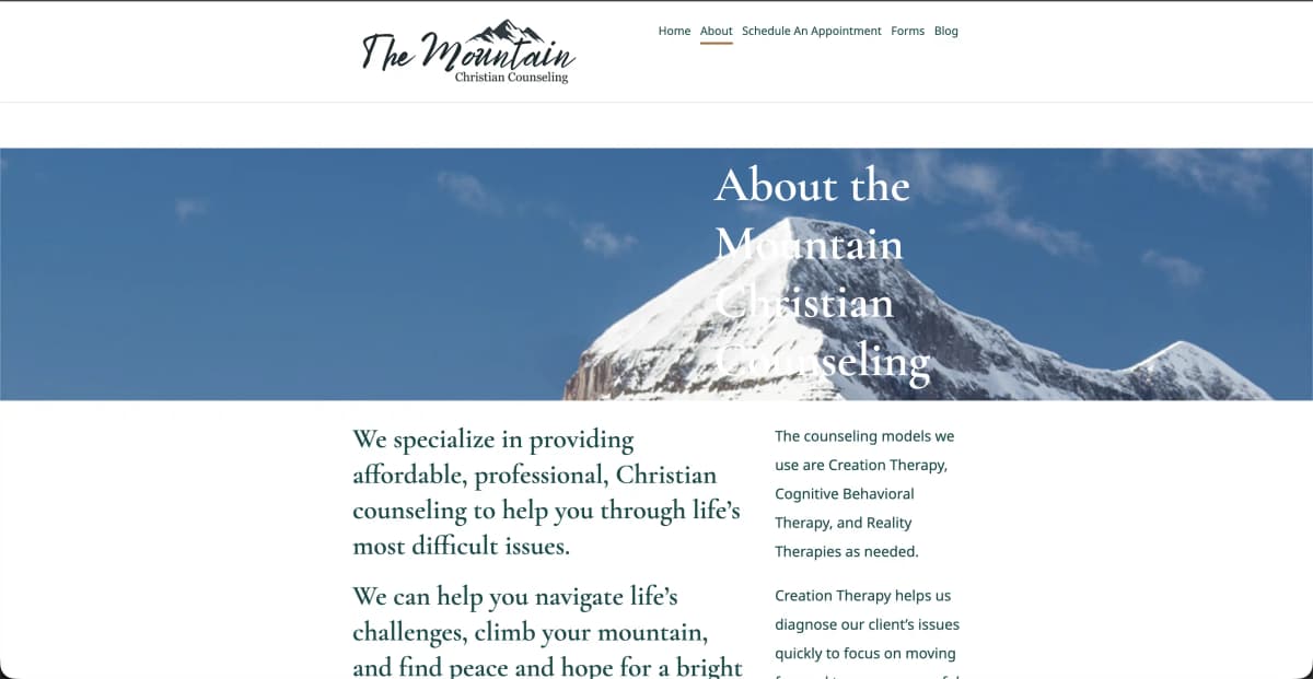 Before — Previous WordPress Site