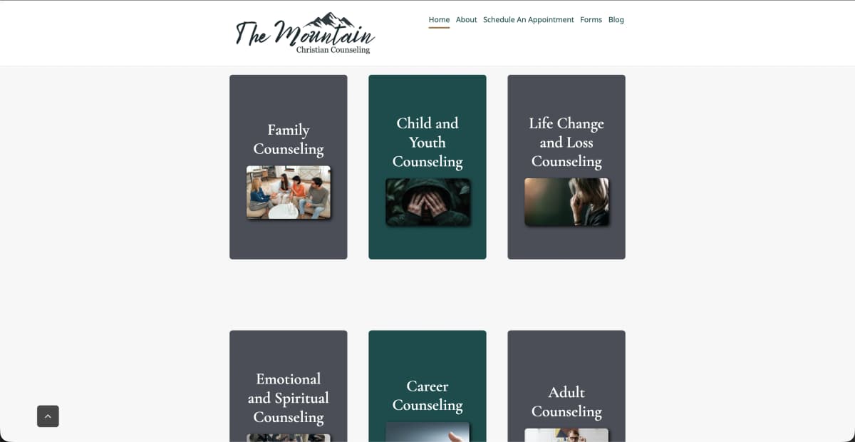 Before — Previous WordPress Site