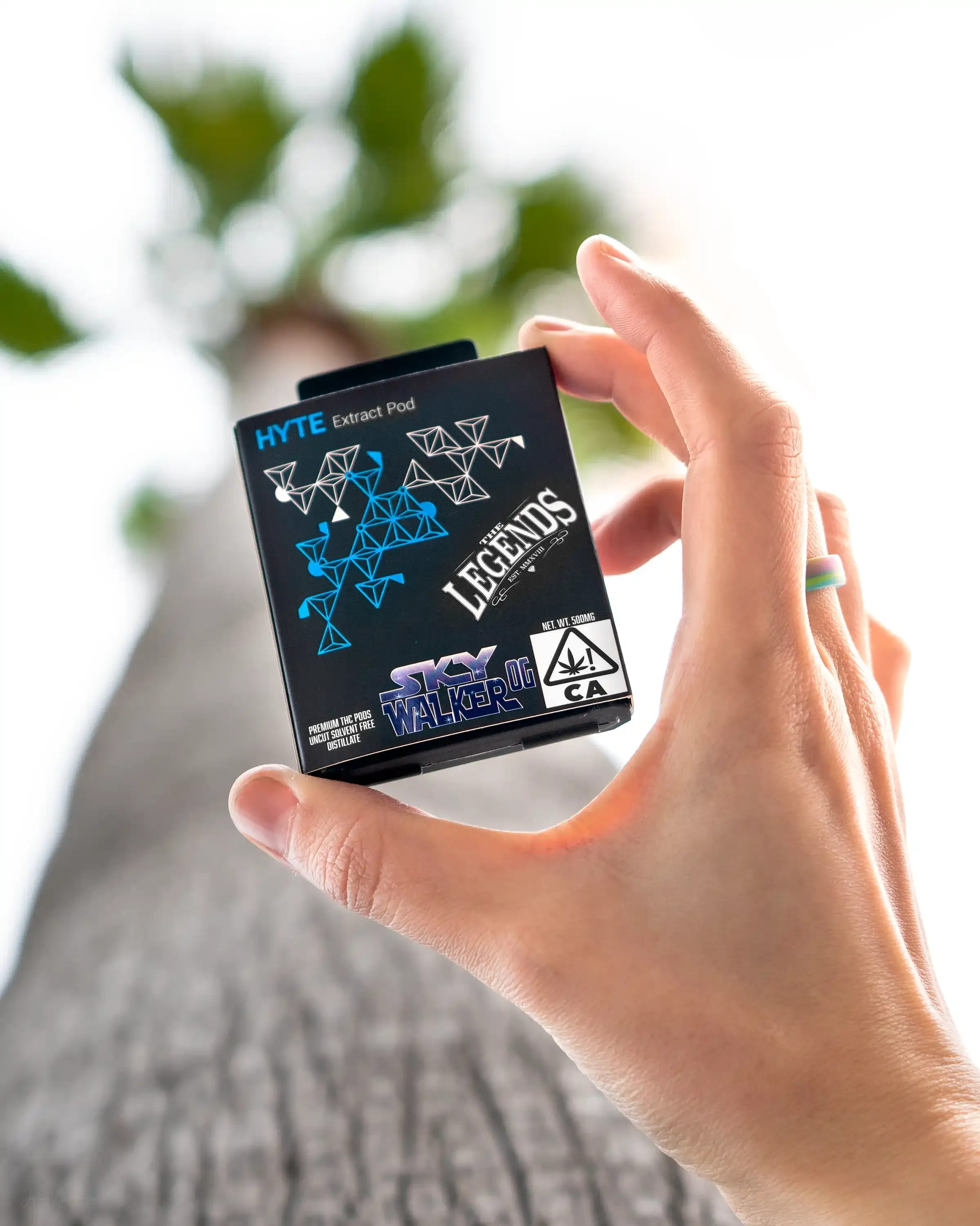 The Legends - San Marcos, Tx 