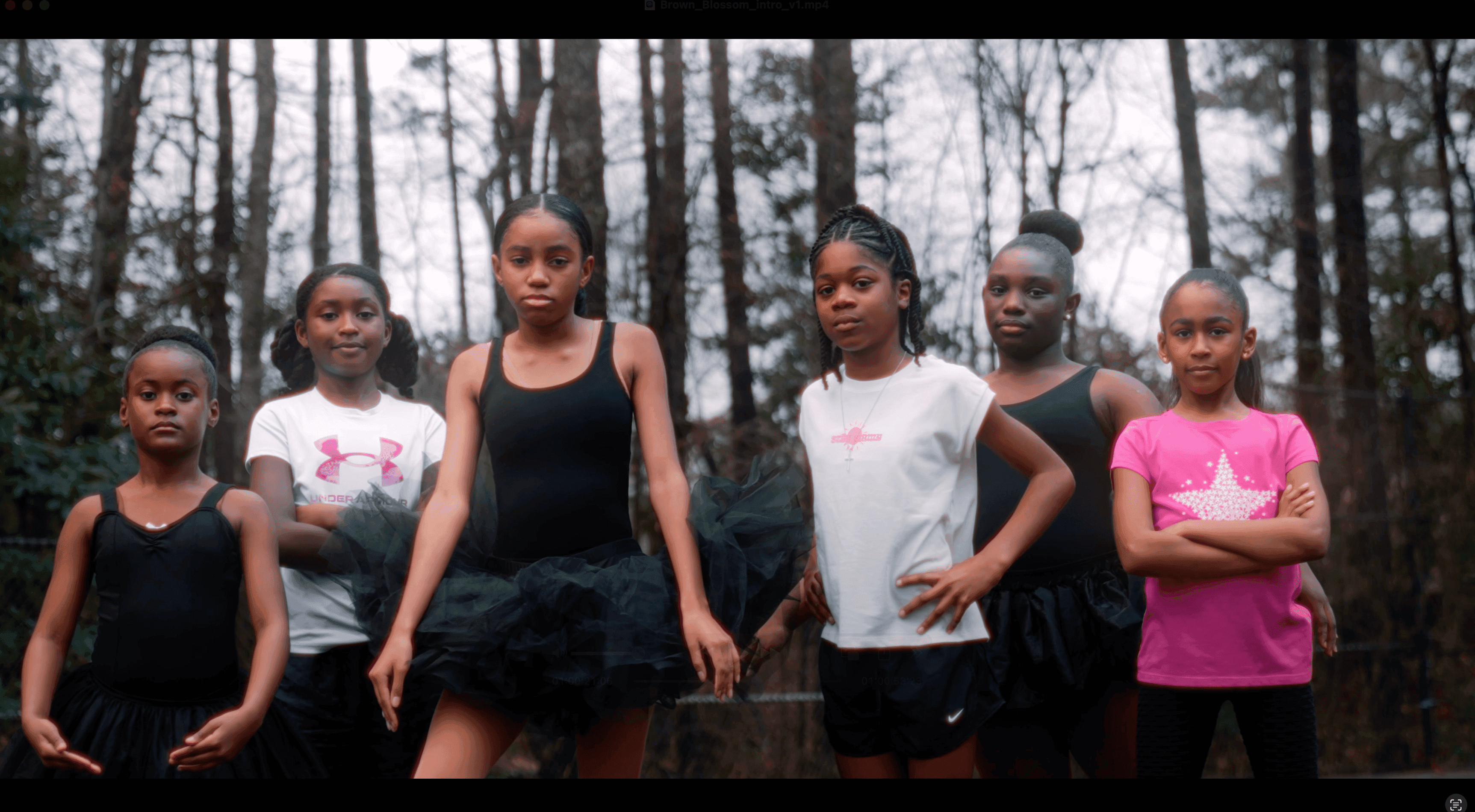 Brown Blossom - Stories Through Visual Narratives