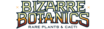 Bizarre Botanics - Brand Build – gallery 1