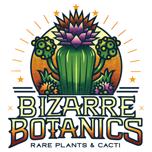 Bizarre Botanics - Brand Build – gallery 2