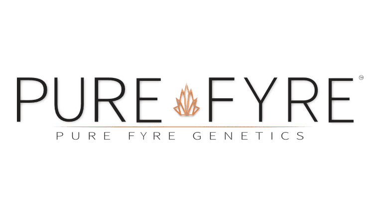 Pure Fyre - Branding, Logo, and Packaging Design – gallery 1