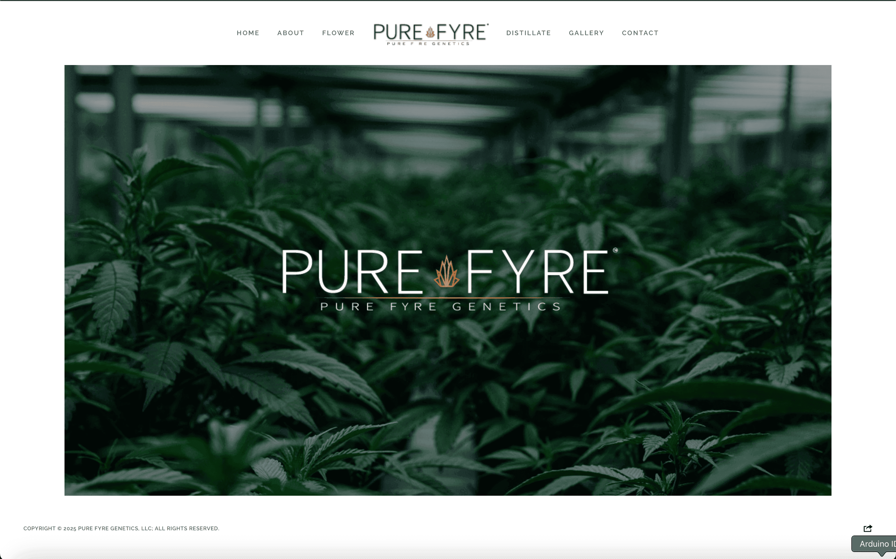 Pure Fyre - Branding, Logo, and Packaging Design – gallery 11
