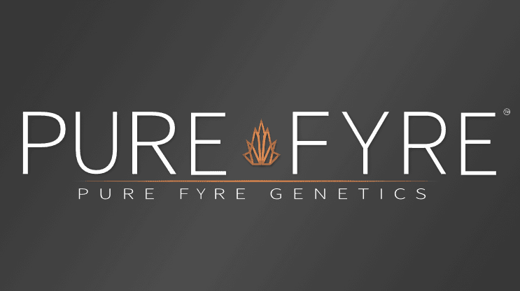 Pure Fyre - Branding, Logo, and Packaging Design – gallery 4