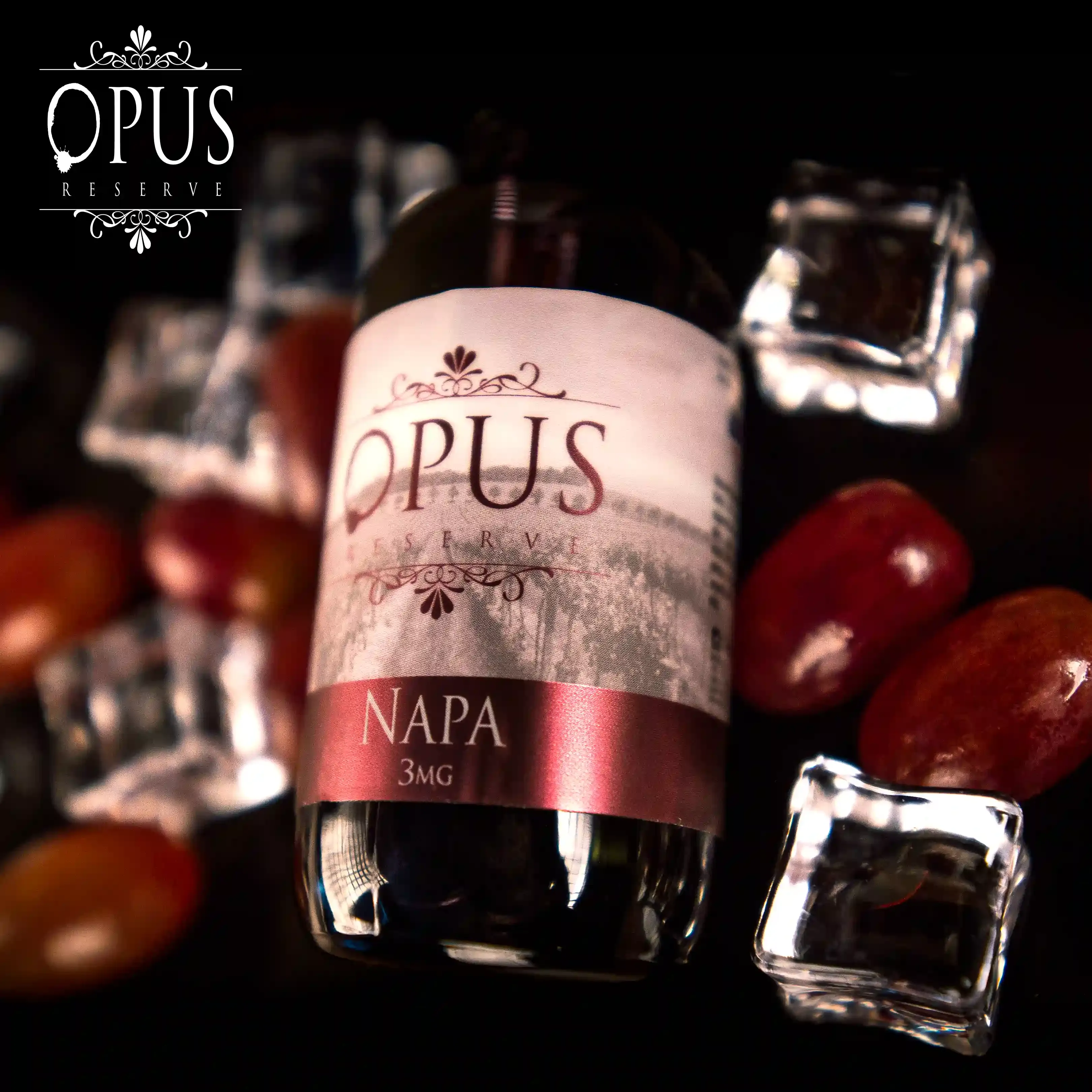 Royal Phoenix – gallery 30