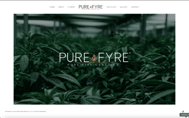 Pure Fyre - Branding, Logo, and Packaging Design
